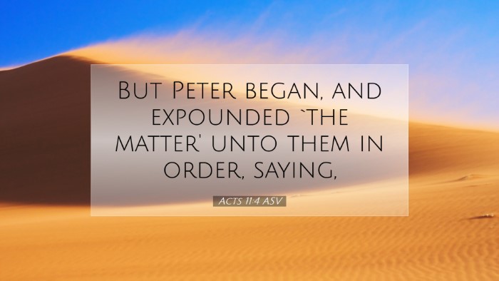 Picture 07 - Acts 11:4 ASV Desktop Wallpaper - But Peter began, and expounded `the matter' unto - Desktop Bible Verse Wallpaper