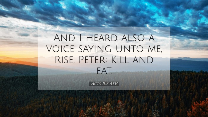 Picture 07 - Acts 11:7 ASV Desktop Wallpaper - And I heard also a voice saying unto me, Rise, - Desktop Bible Verse Wallpaper