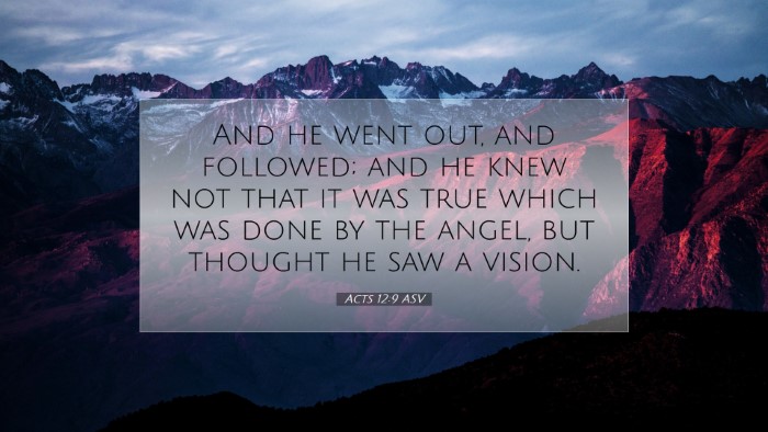 Picture 07 - Acts 12:9 ASV Desktop Wallpaper - And he went out, and followed; and he knew not - Desktop Bible Verse Wallpaper