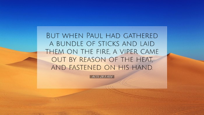 Picture 07 - Acts 28:3 ASV Desktop Wallpaper - But when Paul had gathered a bundle of sticks and - Desktop Bible Verse Wallpaper