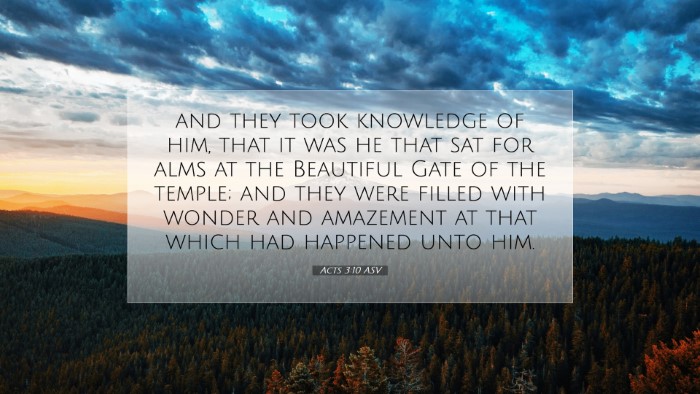 Picture 07 - Acts 3:10 ASV Desktop Wallpaper - and they took knowledge of him, that it was he - Desktop Bible Verse Wallpaper