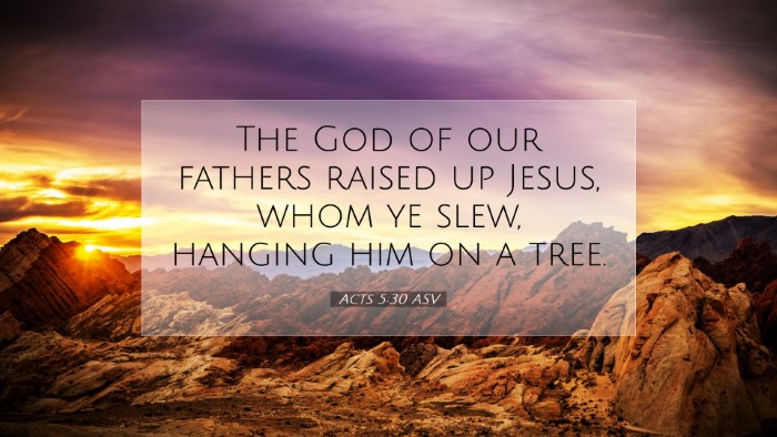 Picture 07 - Acts 5:30 ASV Desktop Wallpaper - The God of our fathers raised up Jesus, whom ye - Desktop Bible Verse Wallpaper