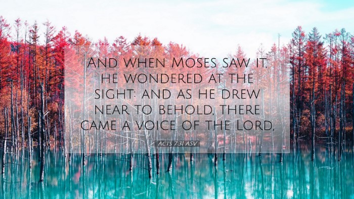 Picture 07 - Acts 7:31 ASV Desktop Wallpaper - And when Moses saw it, he wondered at the sight: - Desktop Bible Verse Wallpaper