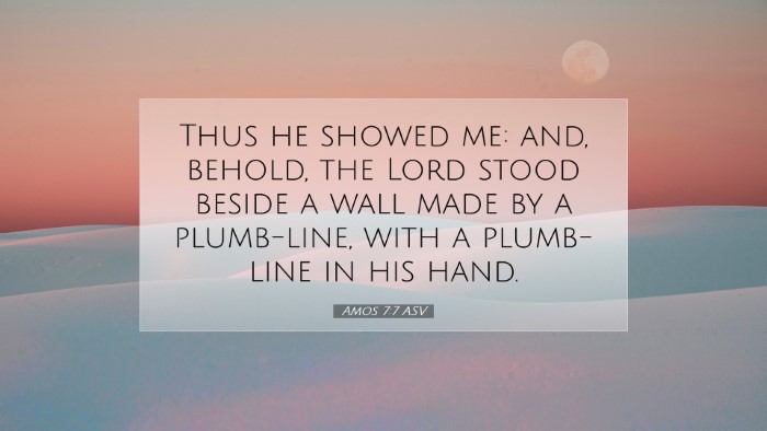 Picture 07 - Amos 7:7 ASV Desktop Wallpaper - Thus he showed me: and, behold, the Lord stood - Desktop Bible Verse Wallpaper