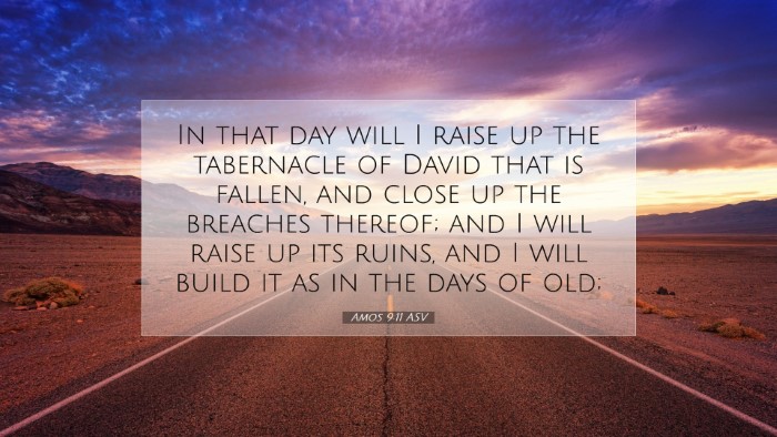 Picture 07 - Amos 9:11 ASV Desktop Wallpaper - In that day will I raise up the tabernacle of - Desktop Bible Verse Wallpaper
