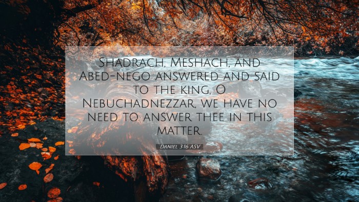 Picture 07 - Daniel 3:16 ASV Desktop Wallpaper - Shadrach, Meshach, and Abed-nego answered and - Desktop Bible Verse Wallpaper