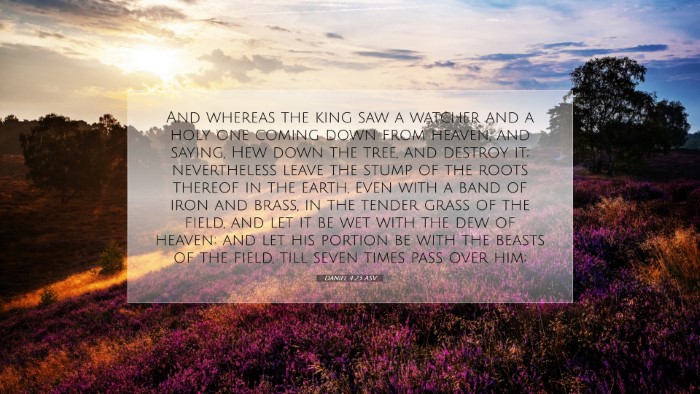 Picture 07 - Daniel 4:23 ASV Desktop Wallpaper - And whereas the king saw a watcher and a holy one - Desktop Bible Verse Wallpaper