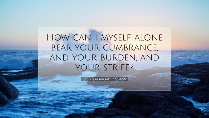 Picture 07 - Deuteronomy 1:12 ASV Desktop Wallpaper - How can I myself alone bear your cumbrance, and - Desktop Bible Verse Wallpaper
