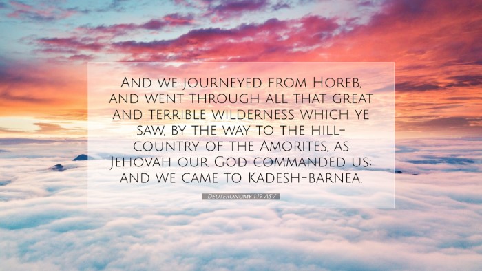 Picture 07 - Deuteronomy 1:19 ASV Desktop Wallpaper - And we journeyed from Horeb, and went through all - Desktop Bible Verse Wallpaper
