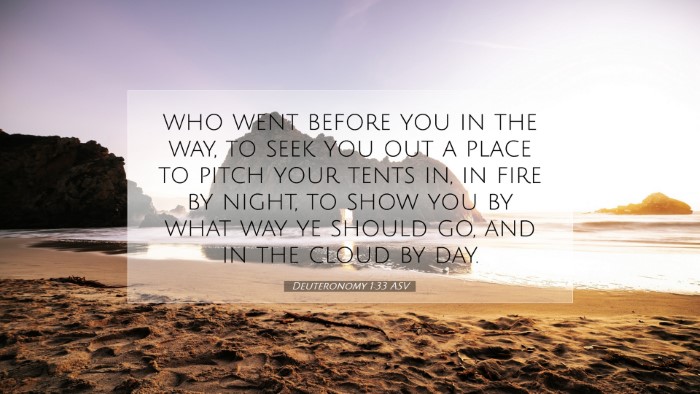 Picture 07 - Deuteronomy 1:33 ASV Desktop Wallpaper - who went before you in the way, to seek you out a - Desktop Bible Verse Wallpaper