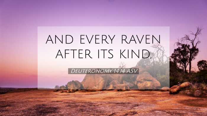 Picture 07 - Deuteronomy 14:14 ASV Desktop Wallpaper - and every raven after its - Desktop Bible Verse Wallpaper