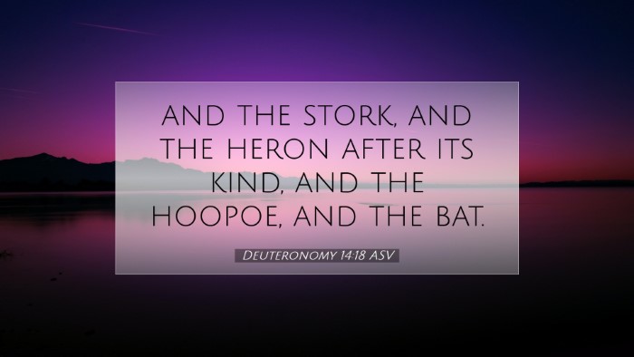 Picture 07 - Deuteronomy 14:18 ASV Desktop Wallpaper - and the stork, and the heron after its kind, and - Desktop Bible Verse Wallpaper