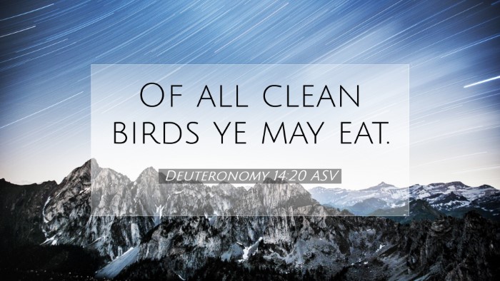 Picture 07 - Deuteronomy 14:20 ASV Desktop Wallpaper - Of all clean birds ye may - Desktop Bible Verse Wallpaper
