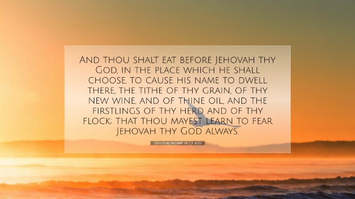 Picture 07 - Deuteronomy 14:23 ASV Desktop Wallpaper - And thou shalt eat before Jehovah thy God, in the - Desktop Bible Verse Wallpaper
