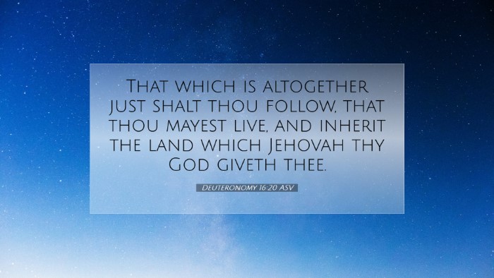 Picture 07 - Deuteronomy 16:20 ASV Desktop Wallpaper - That which is altogether just shalt thou follow, - Desktop Bible Verse Wallpaper
