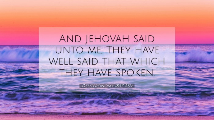 Picture 07 - Deuteronomy 18:17 ASV Desktop Wallpaper - And Jehovah said unto me, They have well said - Desktop Bible Verse Wallpaper
