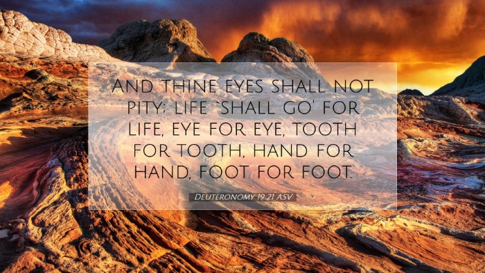 Picture 07 - Deuteronomy 19:21 ASV Desktop Wallpaper - And thine eyes shall not pity; life `shall go' - Desktop Bible Verse Wallpaper