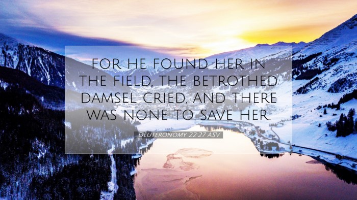 Picture 07 - Deuteronomy 22:27 ASV Desktop Wallpaper - for he found her in the field, the betrothed - Desktop Bible Verse Wallpaper