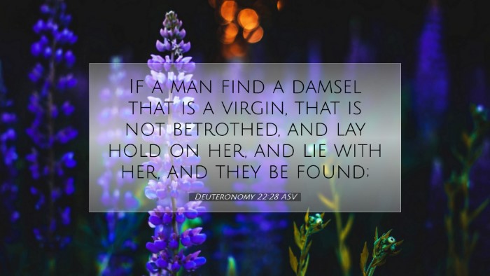 Picture 07 - Deuteronomy 22:28 ASV Desktop Wallpaper - If a man find a damsel that is a virgin, that is - Desktop Bible Verse Wallpaper