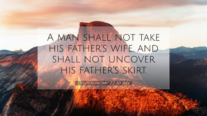 Picture 07 - Deuteronomy 22:30 ASV Desktop Wallpaper - A man shall not take his father's wife, and shall - Desktop Bible Verse Wallpaper