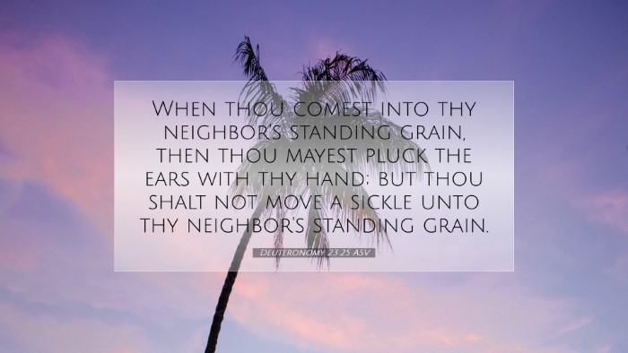 Picture 07 - Deuteronomy 23:25 ASV Desktop Wallpaper - When thou comest into thy neighbor's standing - Desktop Bible Verse Wallpaper
