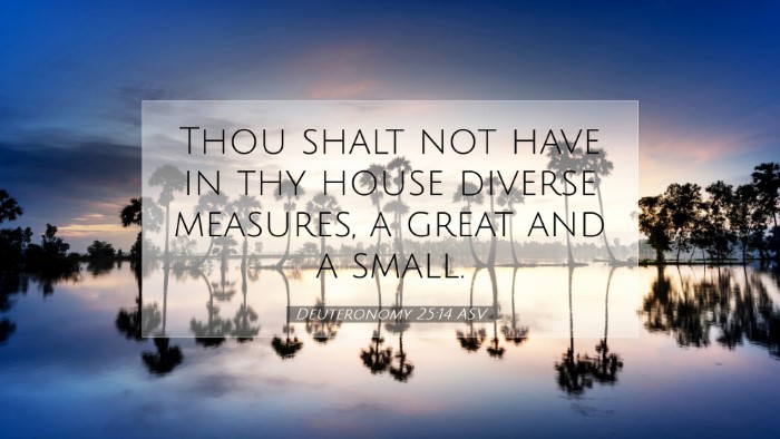 Picture 07 - Deuteronomy 25:14 ASV Desktop Wallpaper - Thou shalt not have in thy house diverse - Desktop Bible Verse Wallpaper