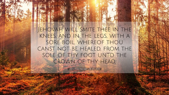 Picture 07 - Deuteronomy 28:35 ASV Desktop Wallpaper - Jehovah will smite thee in the knees, and in the - Desktop Bible Verse Wallpaper