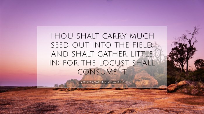 Picture 07 - Deuteronomy 28:38 ASV Desktop Wallpaper - Thou shalt carry much seed out into the field, - Desktop Bible Verse Wallpaper
