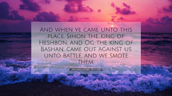 Picture 07 - Deuteronomy 29:7 ASV Desktop Wallpaper - And when ye came unto this place, Sihon the king - Desktop Bible Verse Wallpaper