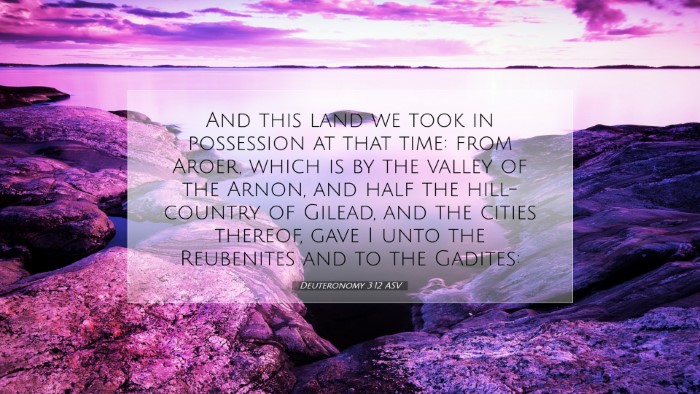 Picture 07 - Deuteronomy 3:12 ASV Desktop Wallpaper - And this land we took in possession at that time: - Desktop Bible Verse Wallpaper