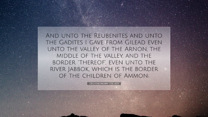 Picture 07 - Deuteronomy 3:16 ASV Desktop Wallpaper - And unto the Reubenites and unto the Gadites I - Desktop Bible Verse Wallpaper