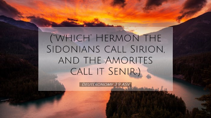 Picture 07 - Deuteronomy 3:9 ASV Desktop Wallpaper - (`which' Hermon the Sidonians call Sirion, and - Desktop Bible Verse Wallpaper