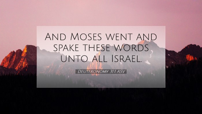 Picture 07 - Deuteronomy 31:1 ASV Desktop Wallpaper - And Moses went and spake these words unto all - Desktop Bible Verse Wallpaper