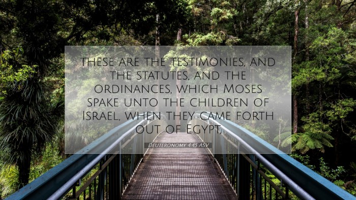 Picture 07 - Deuteronomy 4:45 ASV Desktop Wallpaper - these are the testimonies, and the statutes, and - Desktop Bible Verse Wallpaper