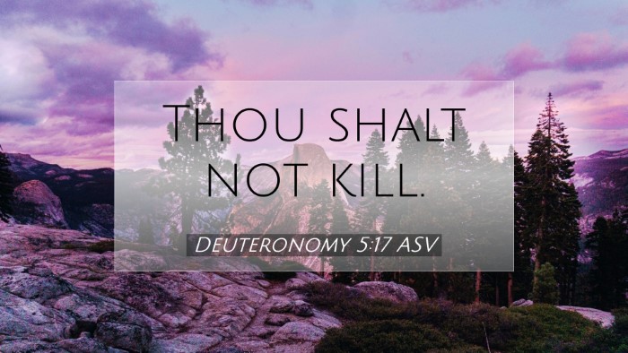 Picture 07 - Deuteronomy 5:17 ASV Desktop Wallpaper - Thou shalt not - Desktop Bible Verse Wallpaper