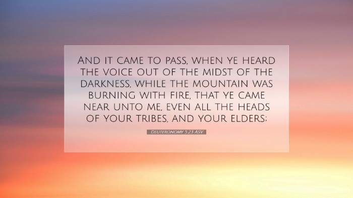 Picture 07 - Deuteronomy 5:23 ASV Desktop Wallpaper - And it came to pass, when ye heard the voice out - Desktop Bible Verse Wallpaper