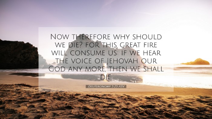 Picture 07 - Deuteronomy 5:25 ASV Desktop Wallpaper - Now therefore why should we die? for this great - Desktop Bible Verse Wallpaper