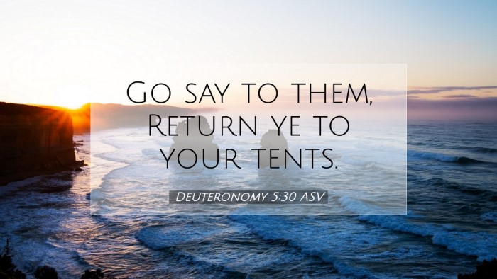 Picture 07 - Deuteronomy 5:30 ASV Desktop Wallpaper - Go say to them, Return ye to your - Desktop Bible Verse Wallpaper