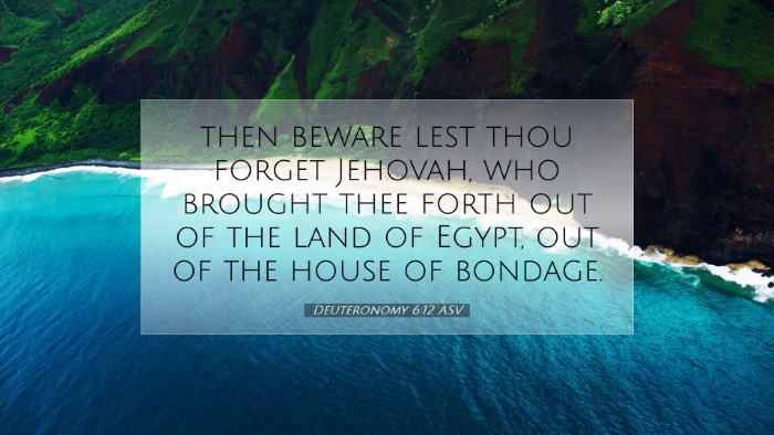 Picture 07 - Deuteronomy 6:12 ASV Desktop Wallpaper - then beware lest thou forget Jehovah, who brought - Desktop Bible Verse Wallpaper