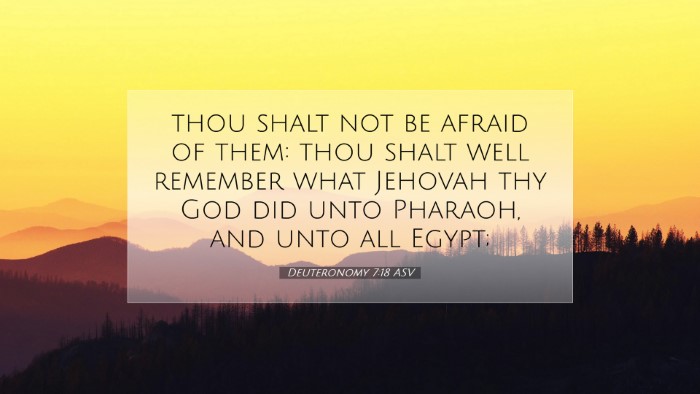 Picture 07 - Deuteronomy 7:18 ASV Desktop Wallpaper - thou shalt not be afraid of them: thou shalt well - Desktop Bible Verse Wallpaper