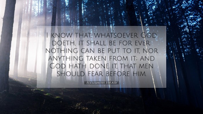 Picture 07 - Ecclesiastes 3:14 ASV Desktop Wallpaper - I know that, whatsoever God doeth, it shall be - Desktop Bible Verse Wallpaper