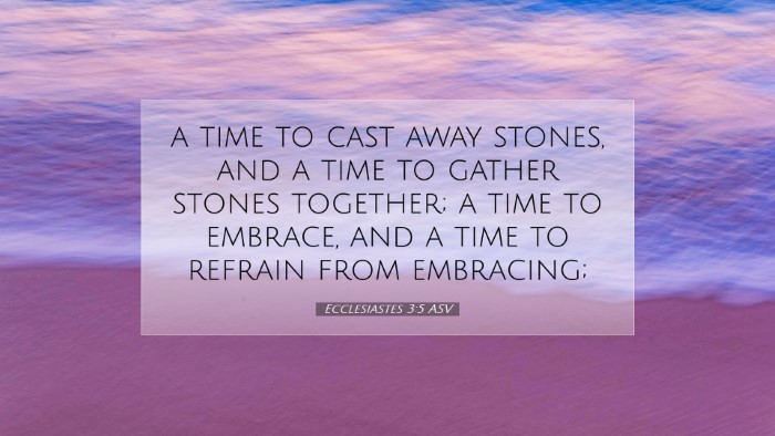 Picture 07 - Ecclesiastes 3:5 ASV Desktop Wallpaper - a time to cast away stones, and a time to gather - Desktop Bible Verse Wallpaper
