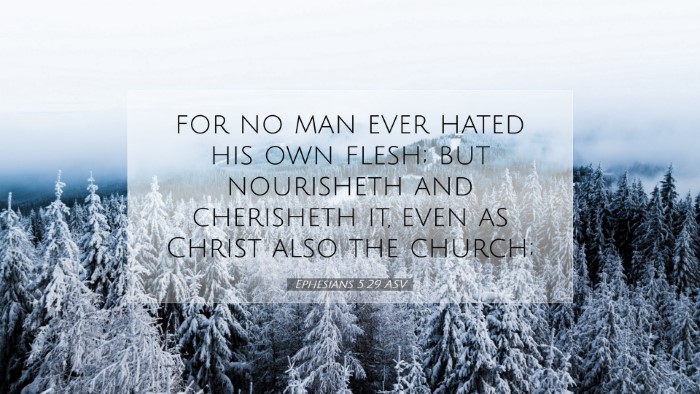 Picture 07 - Ephesians 5:29 ASV Desktop Wallpaper - for no man ever hated his own flesh; but - Desktop Bible Verse Wallpaper