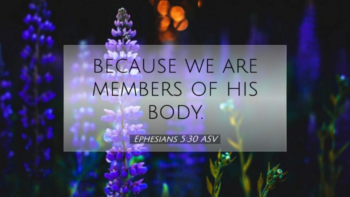 Picture 07 - Ephesians 5:30 ASV Desktop Wallpaper - because we are members of his - Desktop Bible Verse Wallpaper