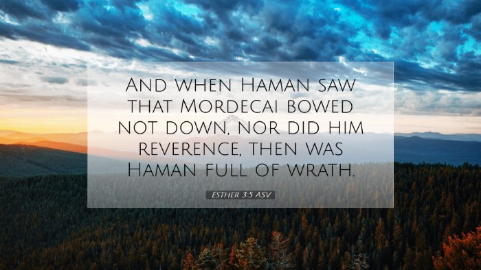Picture 07 - Esther 3:5 ASV Desktop Wallpaper - And when Haman saw that Mordecai bowed not down, - Desktop Bible Verse Wallpaper