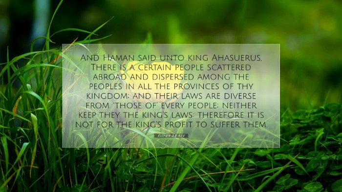 Picture 07 - Esther 3:8 ASV Desktop Wallpaper - And Haman said unto king Ahasuerus, There is a - Desktop Bible Verse Wallpaper