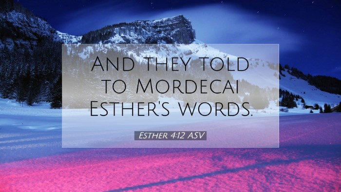 Picture 07 - Esther 4:12 ASV Desktop Wallpaper - And they told to Mordecai Esther's - Desktop Bible Verse Wallpaper