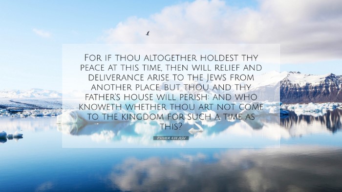 Picture 07 - Esther 4:14 ASV Desktop Wallpaper - For if thou altogether holdest thy peace at this - Desktop Bible Verse Wallpaper