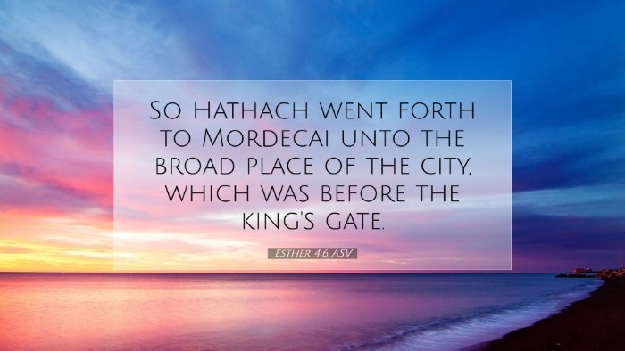 Picture 07 - Esther 4:6 ASV Desktop Wallpaper - So Hathach went forth to Mordecai unto the broad - Desktop Bible Verse Wallpaper