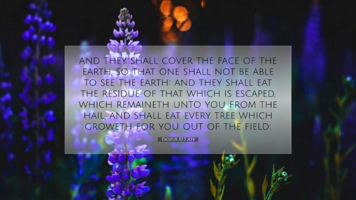 Picture 07 - Exodus 10:5 ASV Desktop Wallpaper - and they shall cover the face of the earth, so - Desktop Bible Verse Wallpaper
